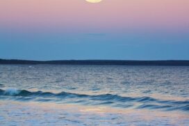 Full-moon-picture-272x182