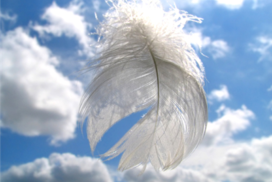 angel-feather-272x182