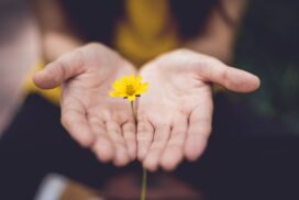 lina-trochez-ktPKyUs3Qjs-unsplash-272x182